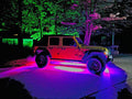 Shoreline Offroad Pro Series Underglow lighting kit